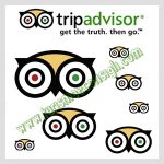Sondaggio di Tripadvisor: il 20% degli intervistati non vuole bambini a bordo dell’aereo