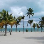 Vivi un caldo Natale a Miami
