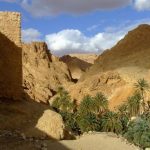 Nessuna idea per le vacanze estive? Ecco Djerba e altre belle città